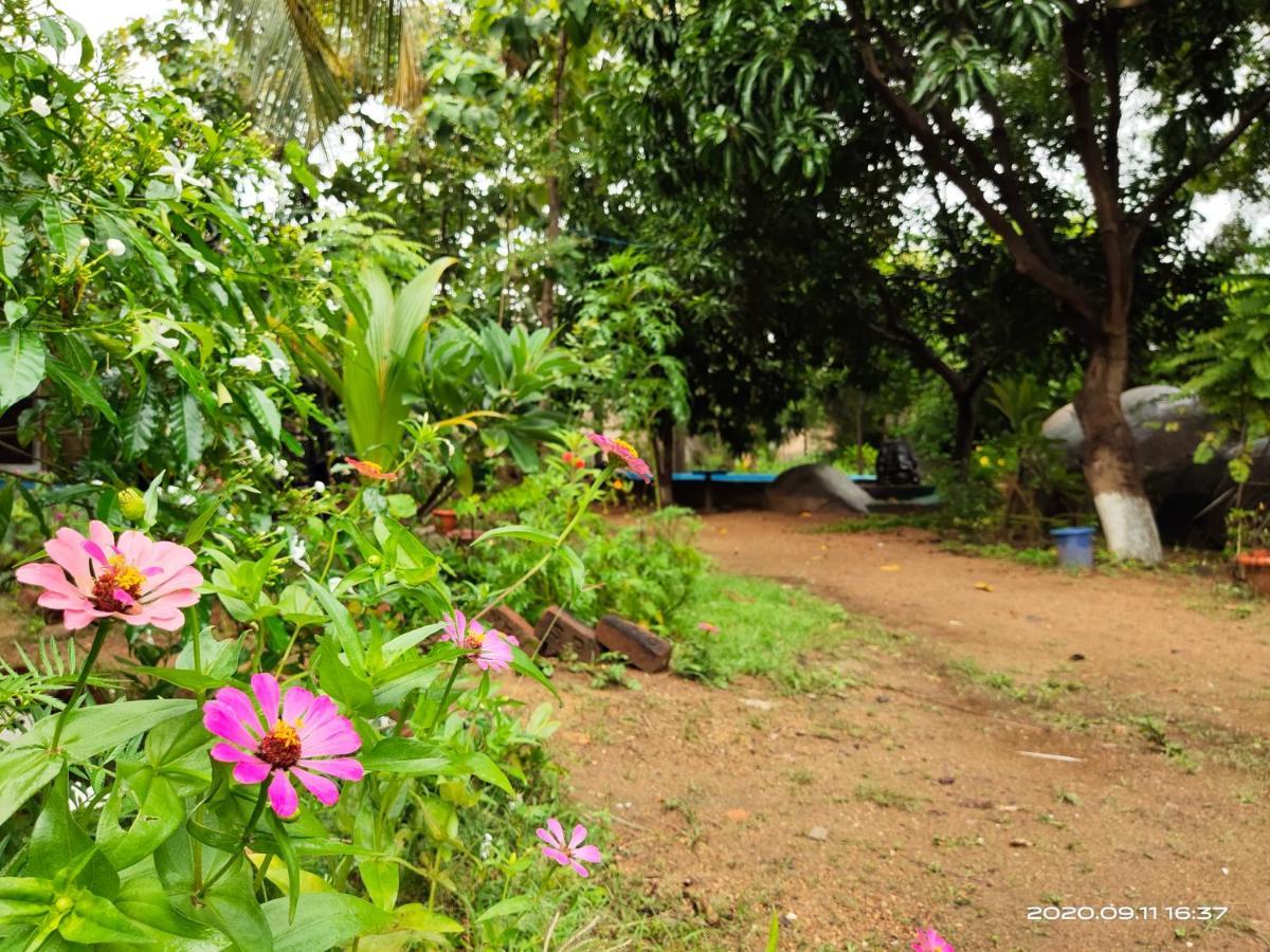 Lotus Riya Homestay Hampi Exterior foto